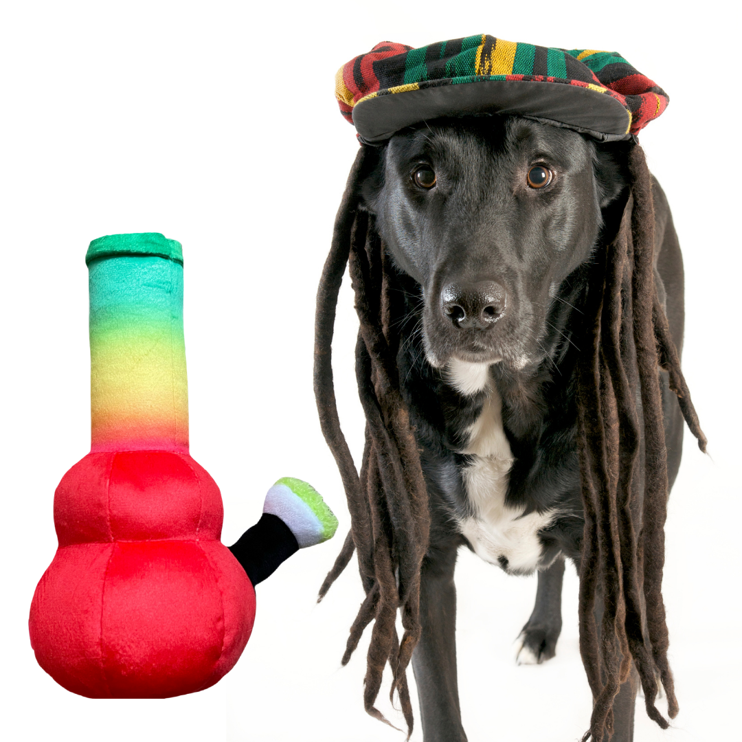 Bo da Bong 420 Dog Toy-2